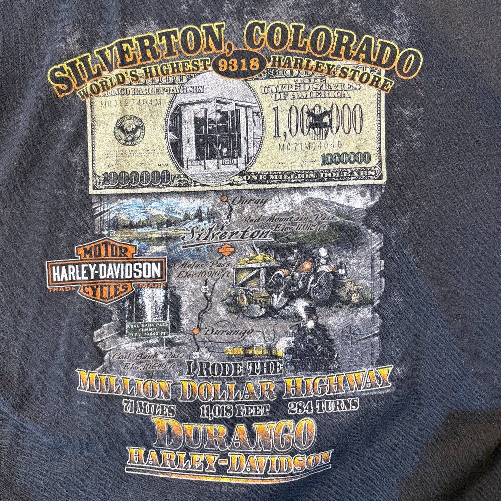 Vintage Harley-Davidson-Durango (L)